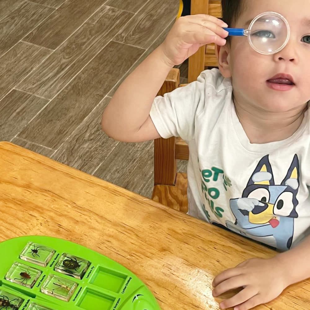 Niño observando insectos con una lupa en la caja de ciencias