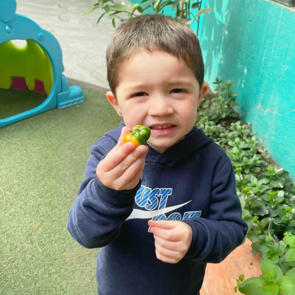 Niño sonriendo mientras muestra lo que cosechó en el huerto
