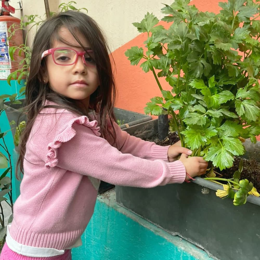 Niña cuidando las plantas de la jardinera del huerto
