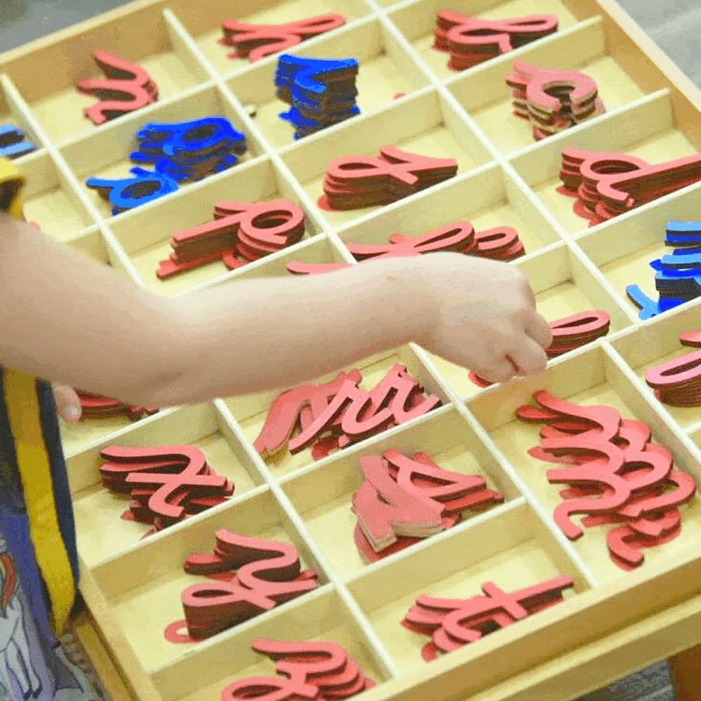 Caja del alfabeto móvil, con las letras rojas y azules ordenadas