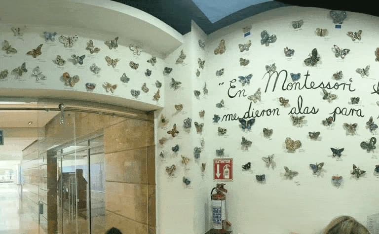 Muro del kínder con mariposas y la frase «En Montessori nos dieron alas para volar»
